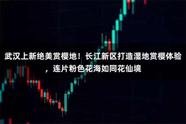 武汉上新绝美赏樱地!长江新区打造湿地赏樱体验,连片粉色花海如同花仙境