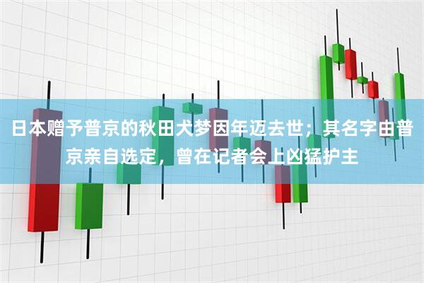 日本赠予普京的秋田犬梦因年迈去世；其名字由普京亲自选定，曾在记者会上凶猛护主